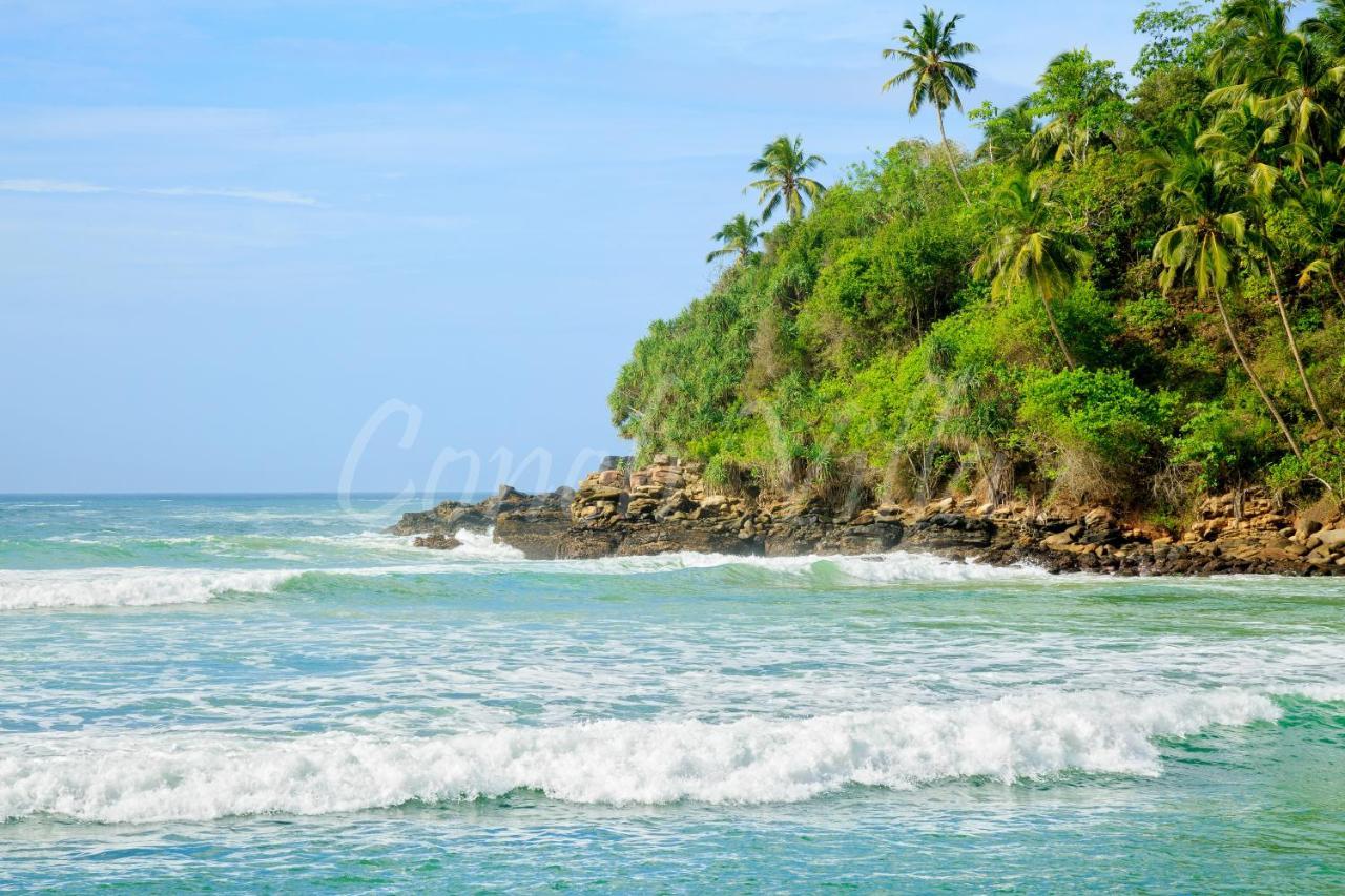 Grand Conch Villa Tangalle Eksteriør bilde